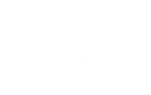 meravis-Immobiliengruppe_logo